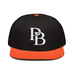 Point Breeze Snapback Hat